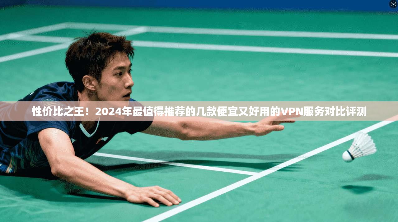 性价比之王！2024年最值得推荐的几款便宜又好用的VPN服务对比评测