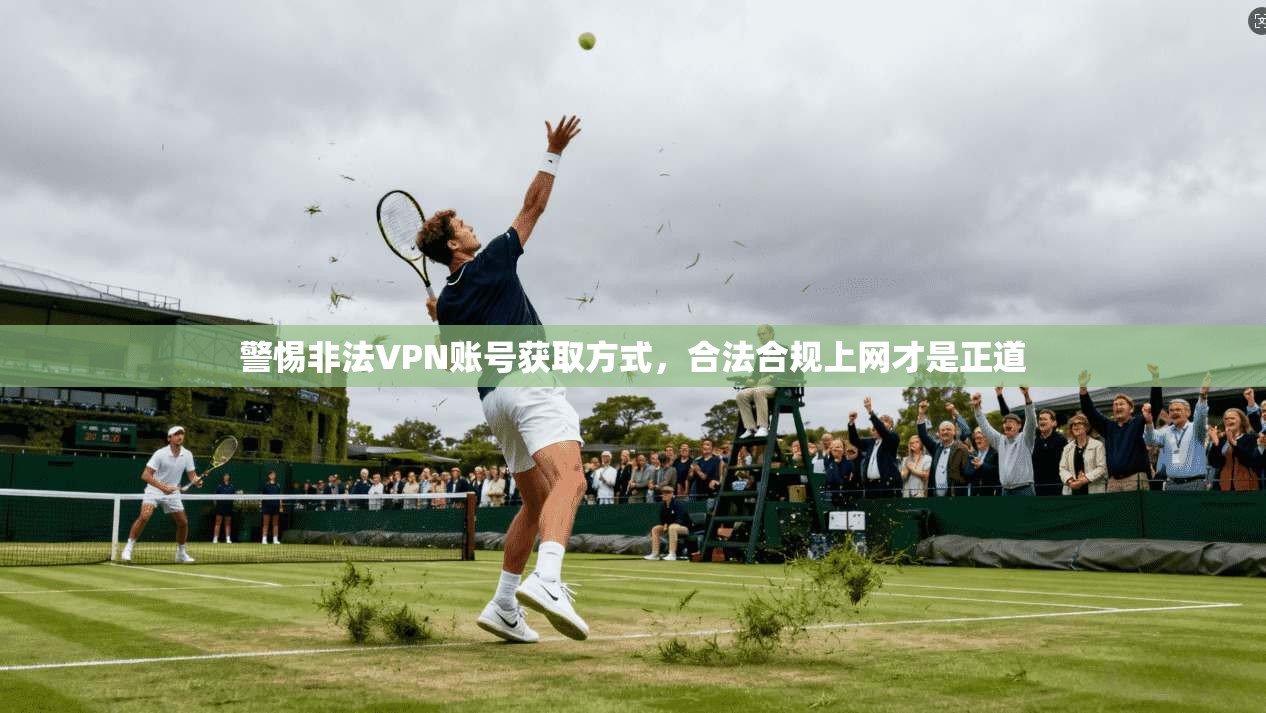 警惕非法VPN账号获取方式，合法合规上网才是正道
