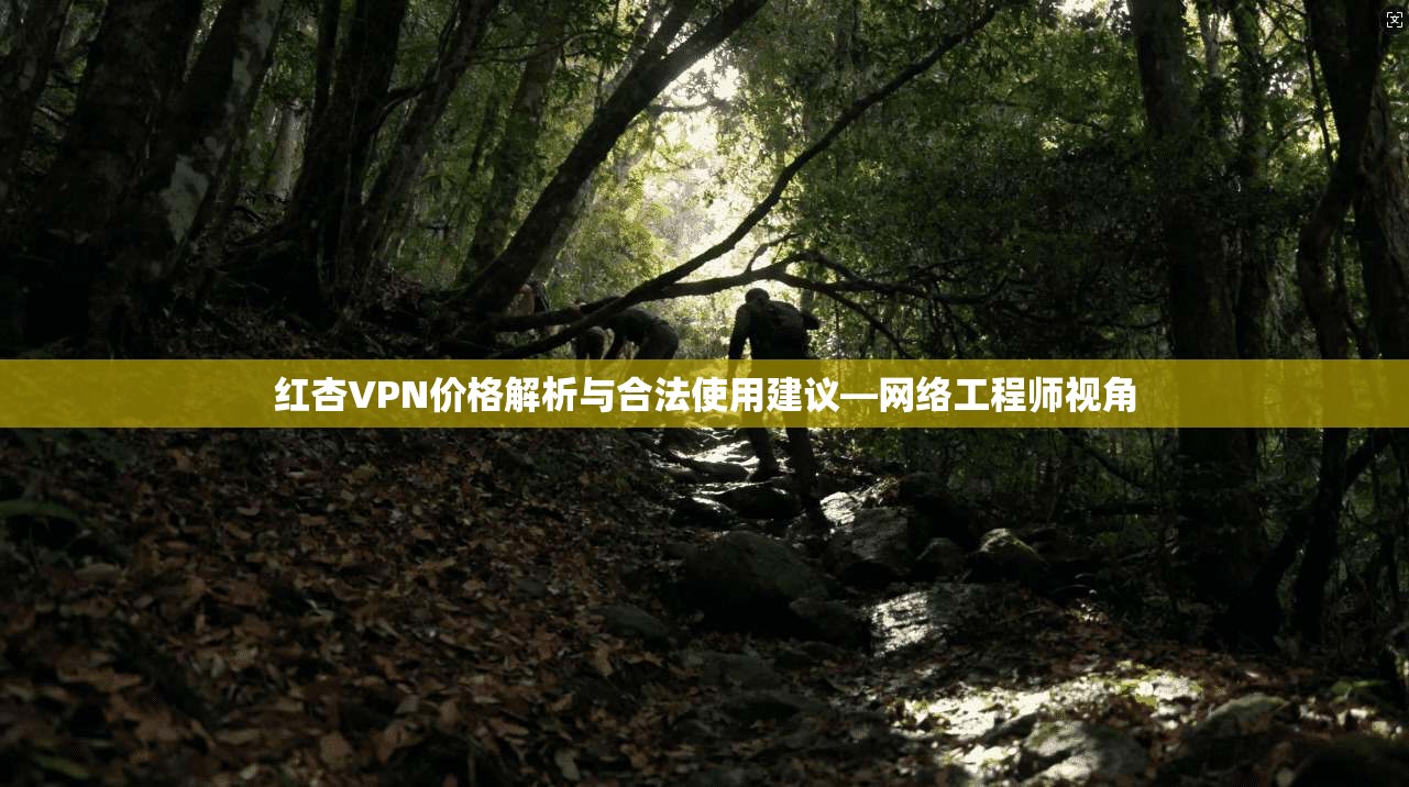 红杏VPN价格解析与合法使用建议—网络工程师视角