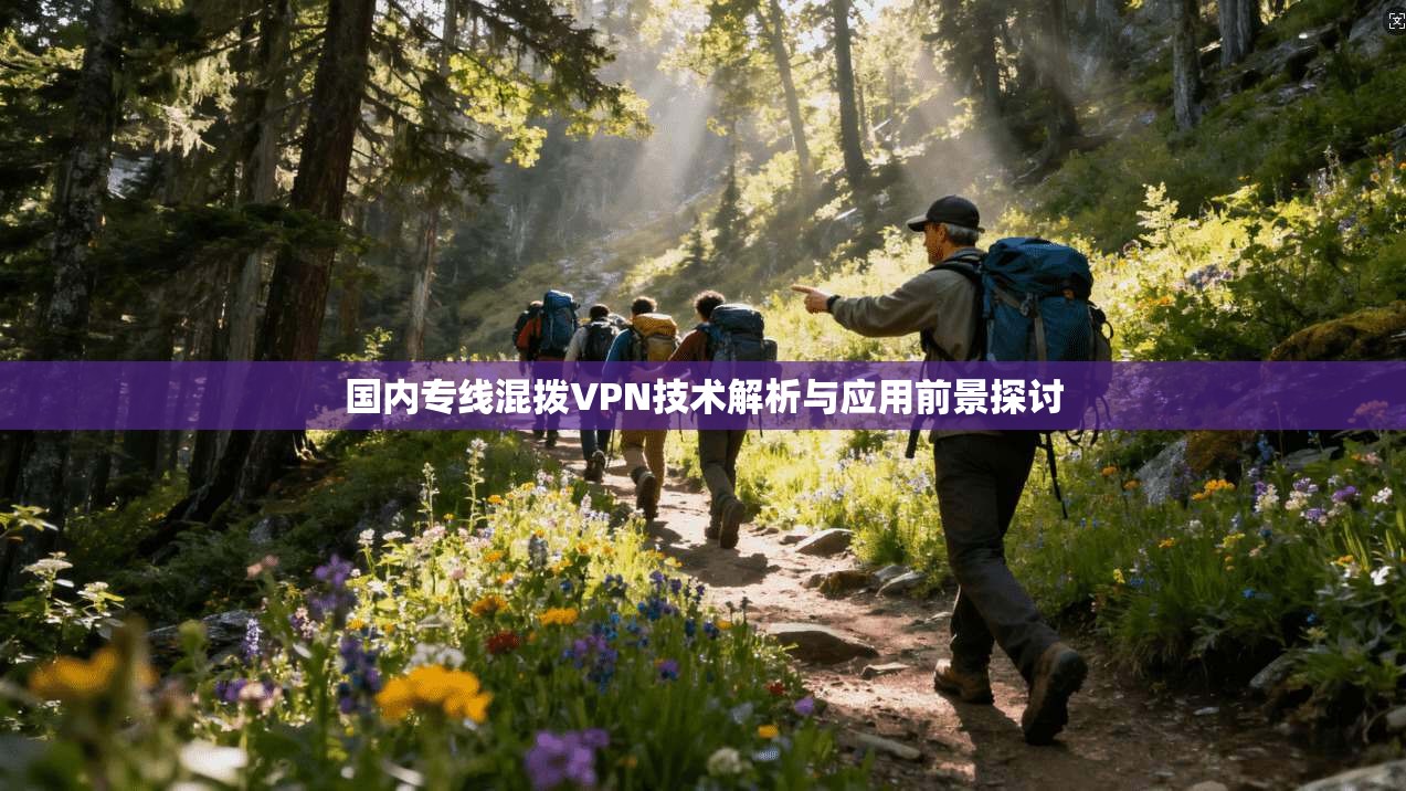 国内专线混拨VPN技术解析与应用前景探讨