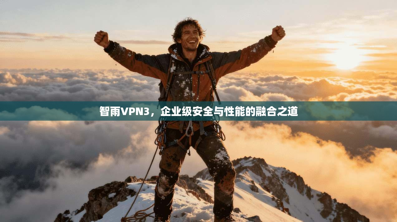 智雨VPN3，企业级安全与性能的融合之道