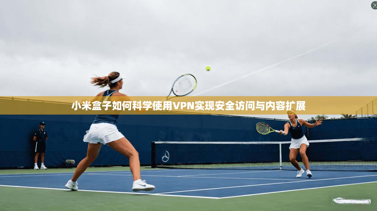 小米盒子如何科学使用VPN实现安全访问与内容扩展
