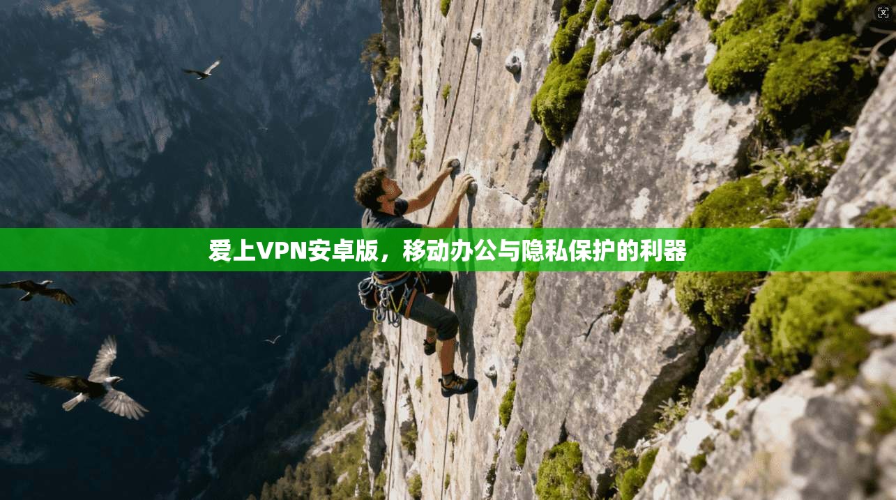 爱上VPN安卓版，移动办公与隐私保护的利器