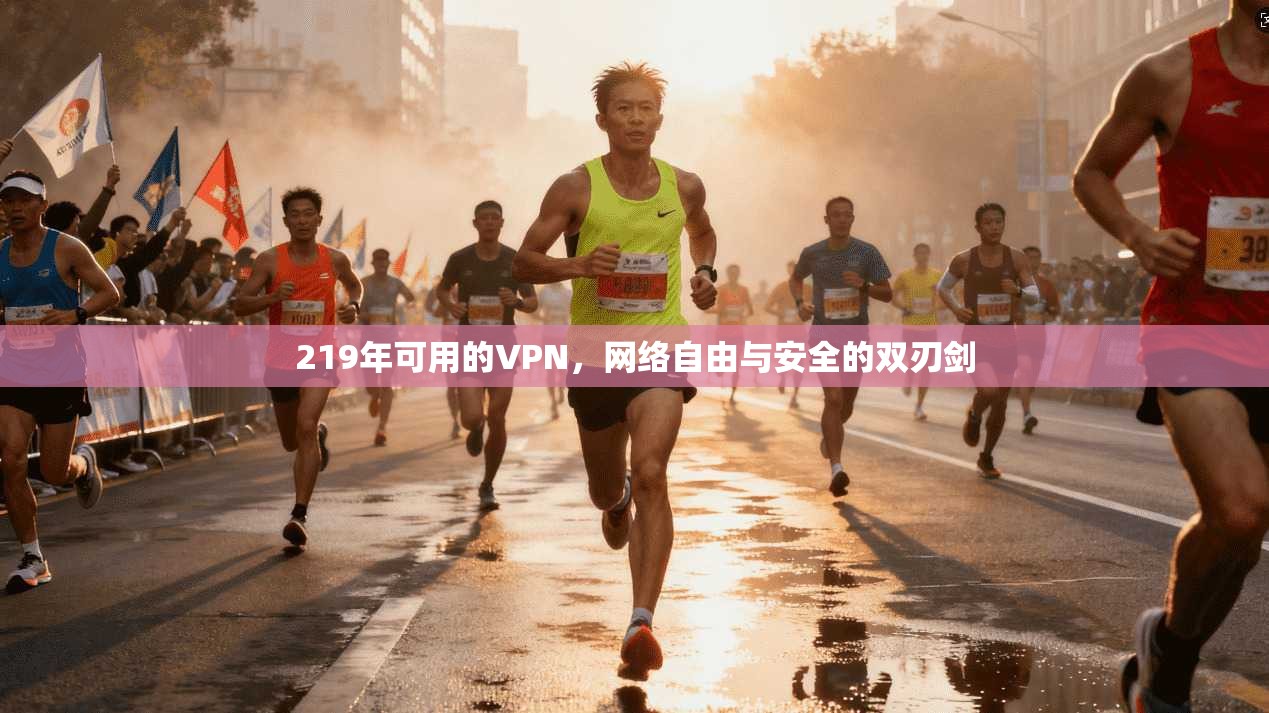 219年可用的VPN，网络自由与安全的双刃剑