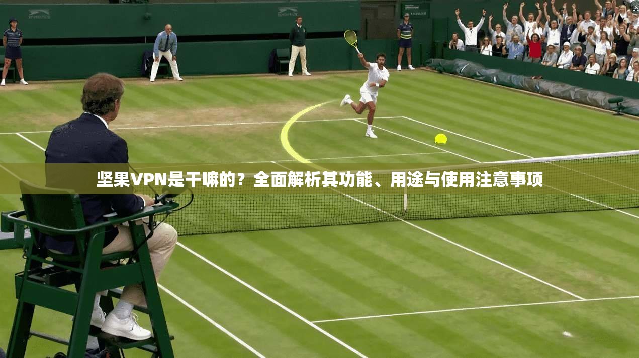 坚果VPN是干嘛的？全面解析其功能、用途与使用注意事项