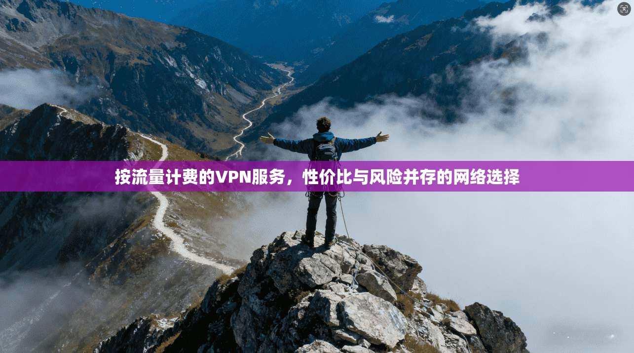 按流量计费的VPN服务，性价比与风险并存的网络选择