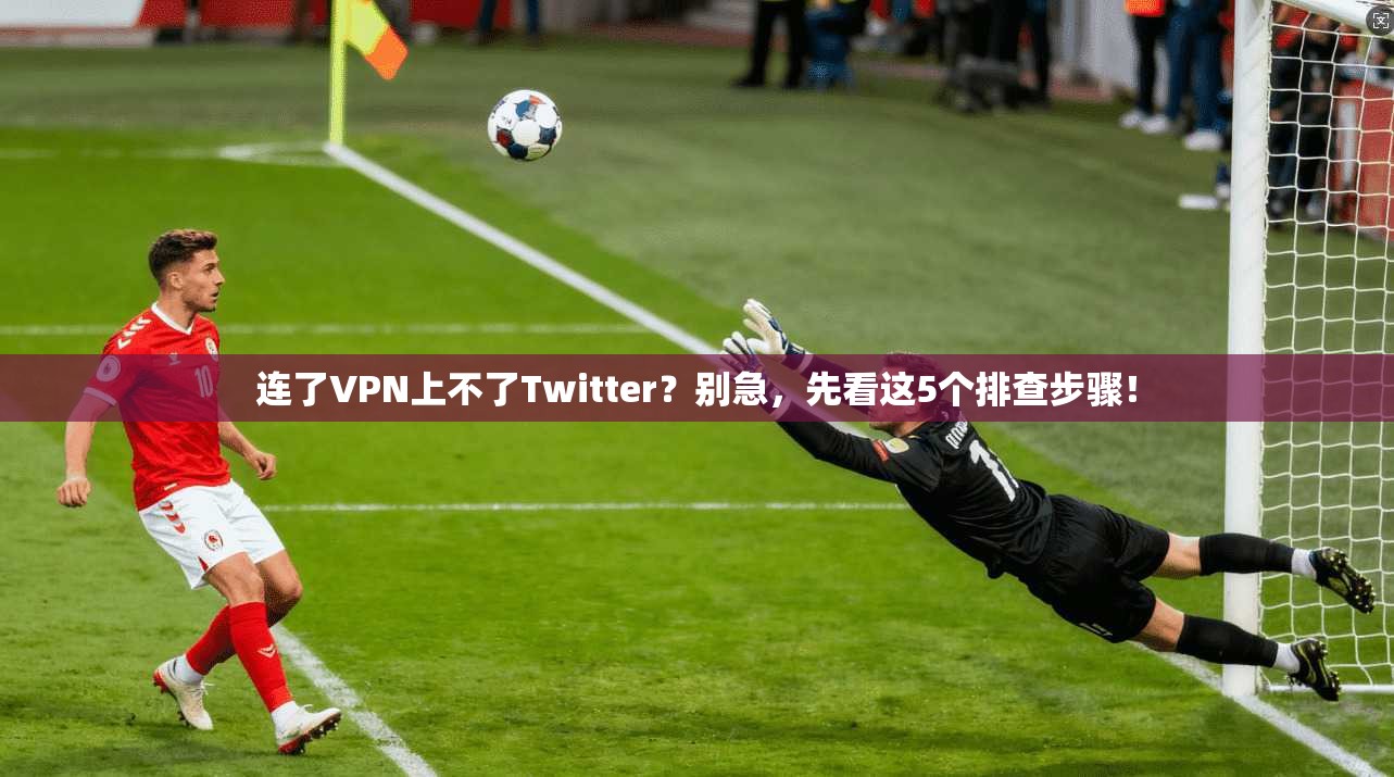 连了VPN上不了Twitter?别急,先看这5个排查步骤! 连了VPN上不了Twitter?别急,先看这5个排查步骤!
