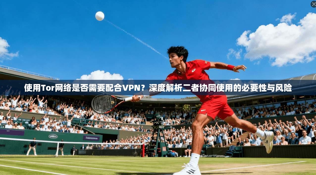 使用Tor网络是否需要配合VPN？深度解析二者协同使用的必要性与风险