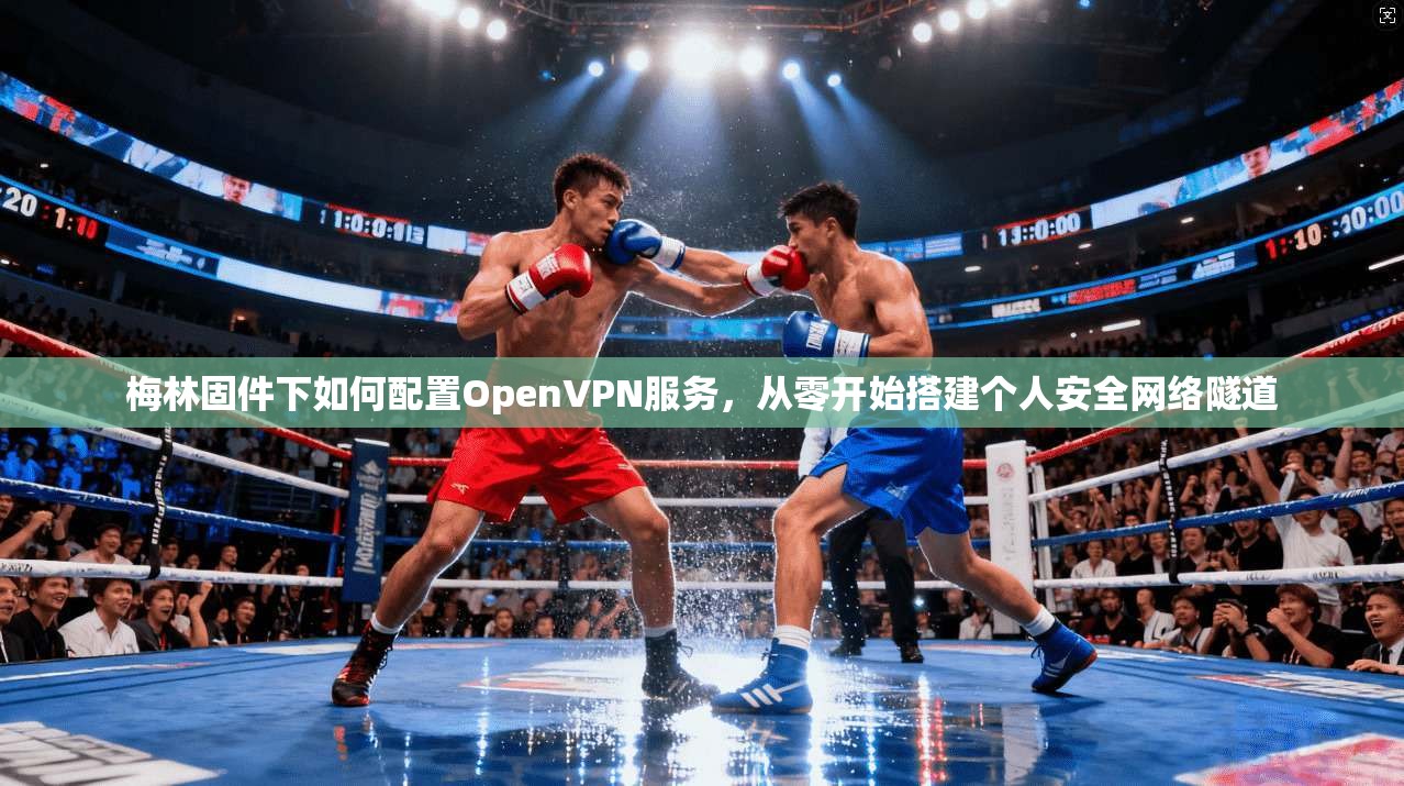 梅林固件下如何配置OpenVPN服务，从零开始搭建个人安全网络隧道
