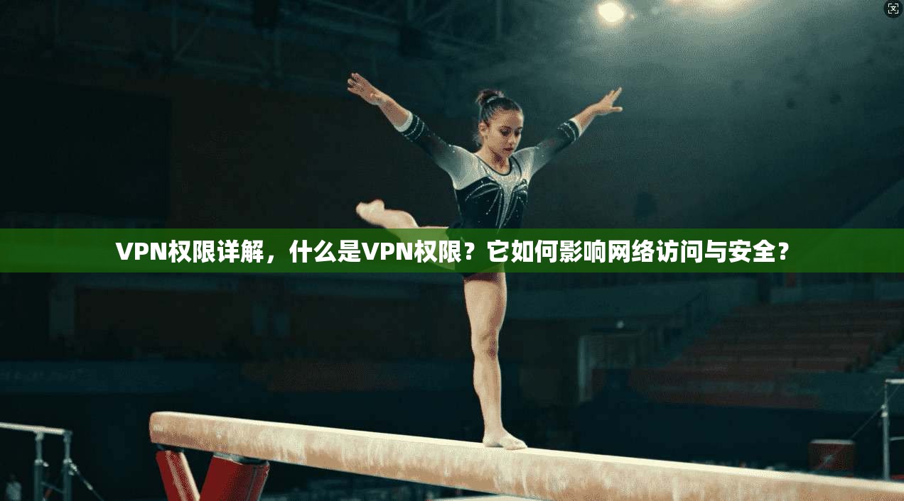 VPN权限详解，什么是VPN权限？它如何影响网络访问与安全？