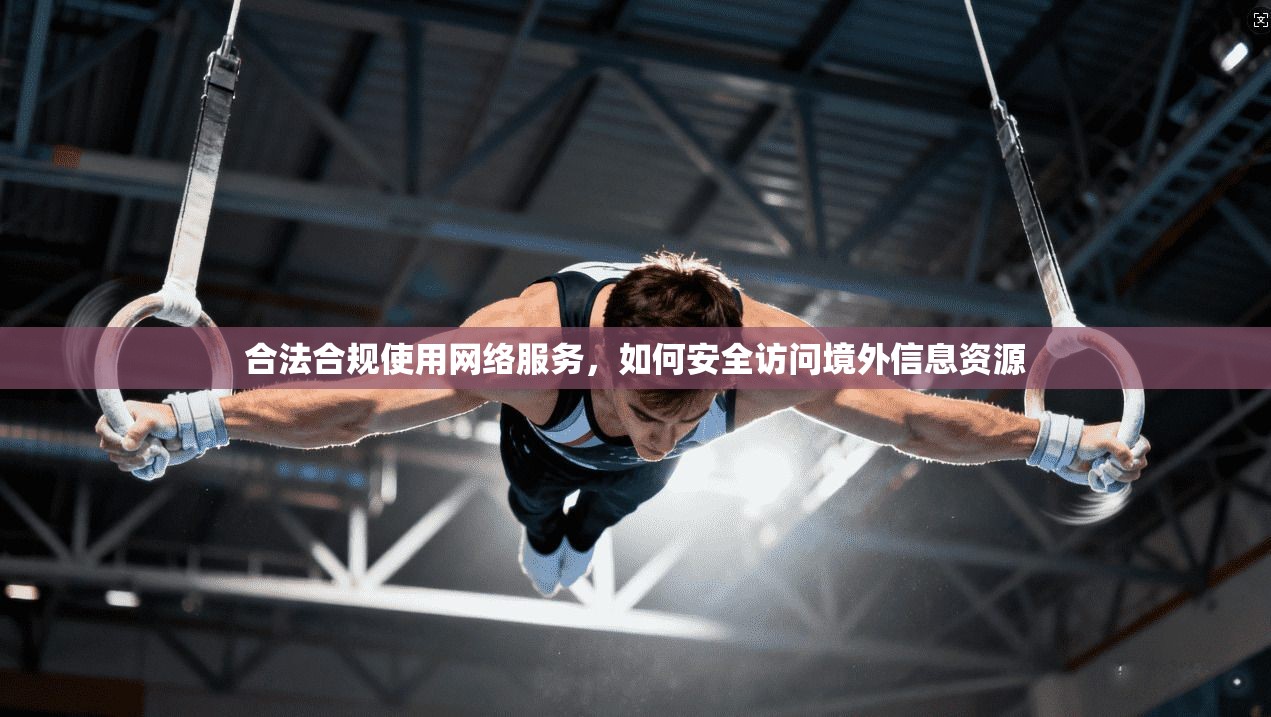 合法合规使用网络服务，如何安全访问境外信息资源
