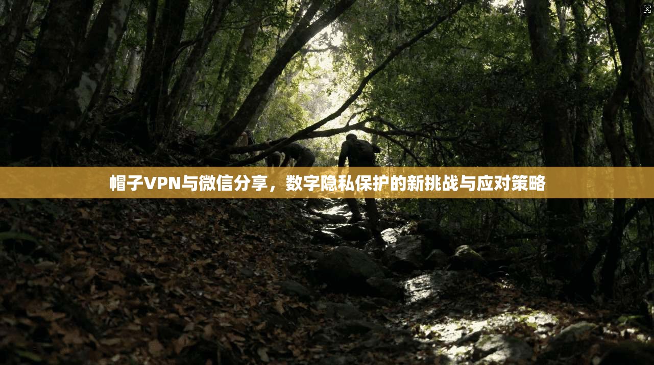 帽子VPN与微信分享，数字隐私保护的新挑战与应对策略