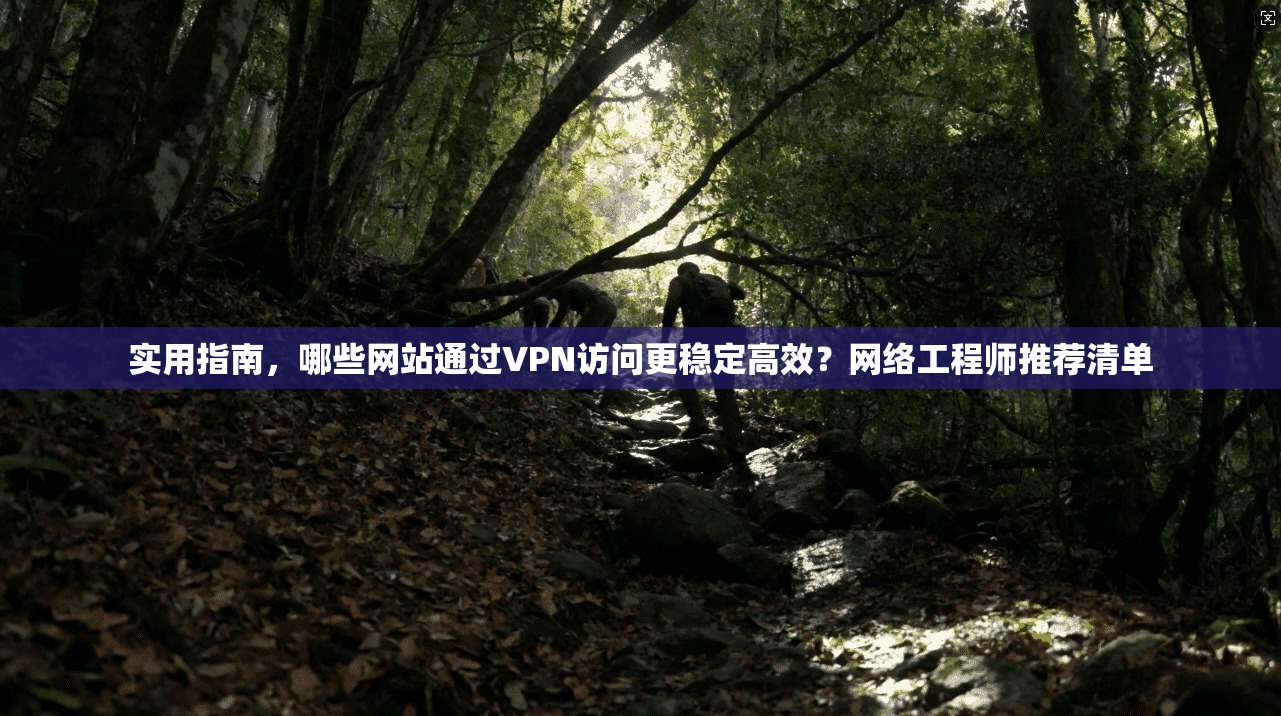 实用指南，哪些网站通过VPN访问更稳定高效？网络工程师推荐清单
