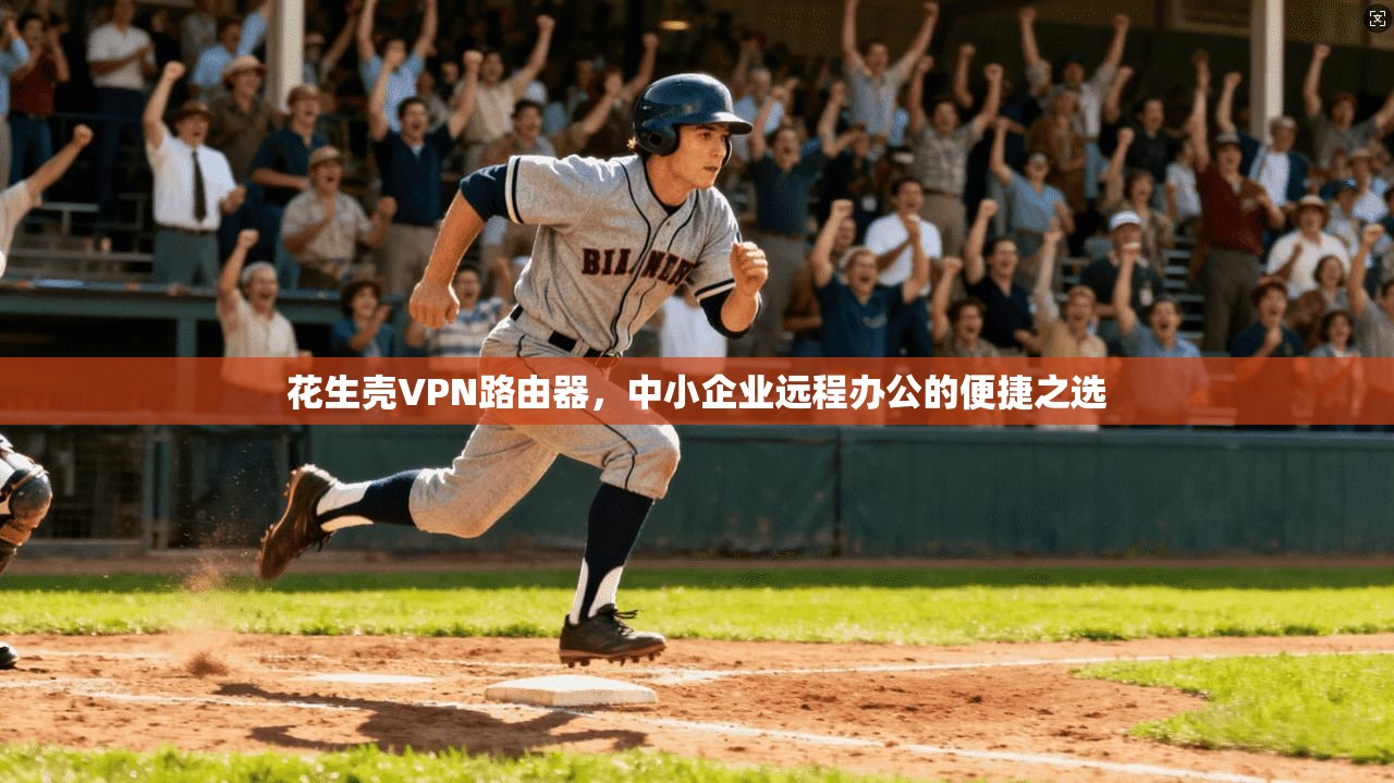花生壳VPN路由器，中小企业远程办公的便捷之选