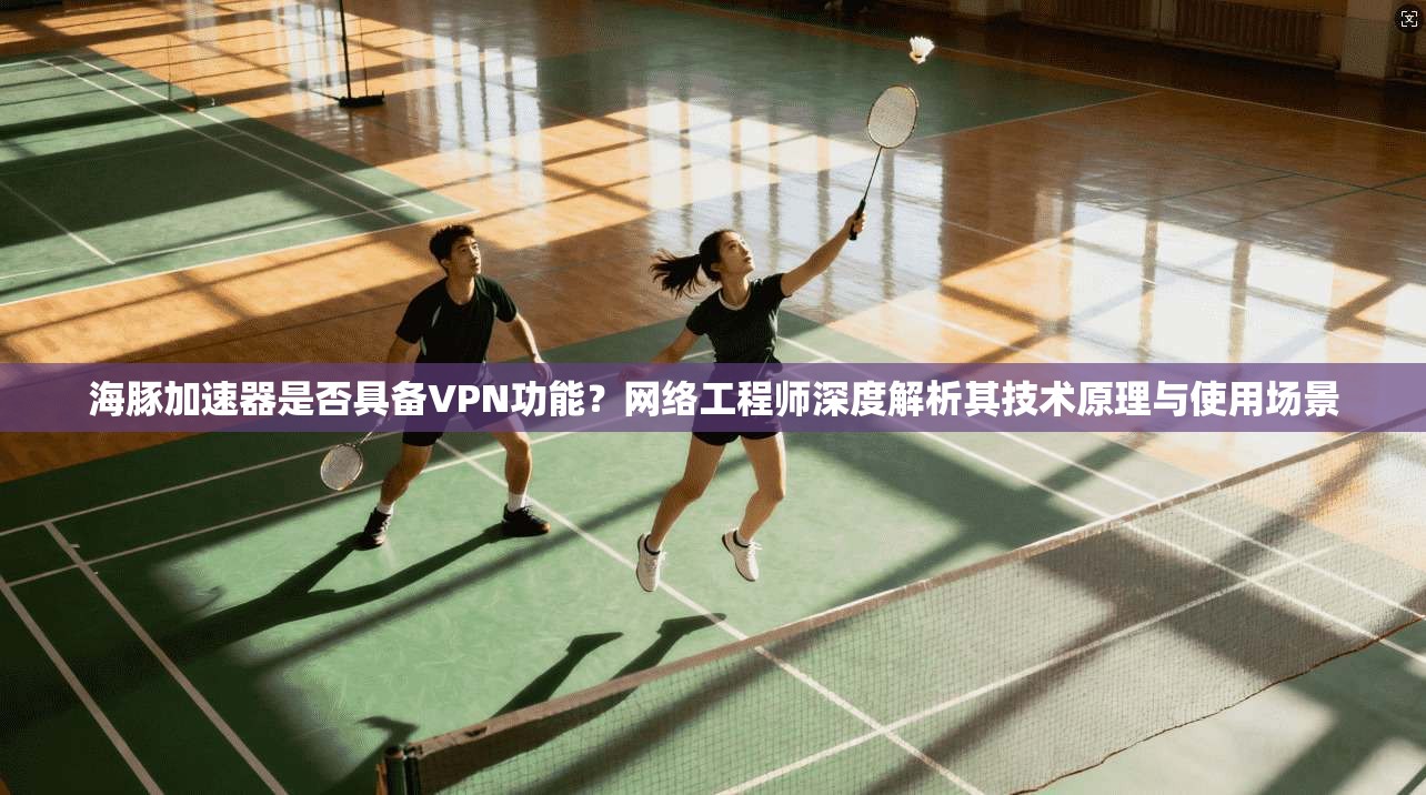 海豚加速器是否具备VPN功能？网络工程师深度解析其技术原理与使用场景