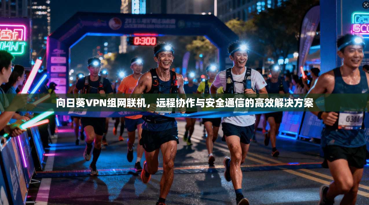 向日葵VPN组网联机，远程协作与安全通信的高效解决方案