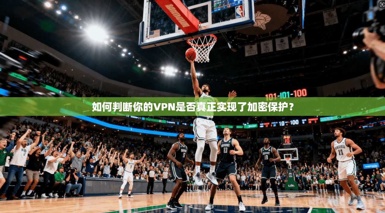如何判断你的VPN是否真正实现了加密保护？