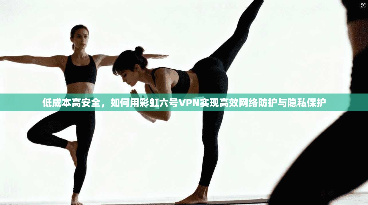 低成本高安全，如何用彩虹六号VPN实现高效网络防护与隐私保护