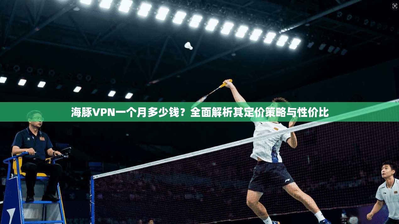 海豚VPN一个月多少钱?全面解析其定价策略与性价比 海豚VPN一个月多少钱?全面解析其定价策略与性价比