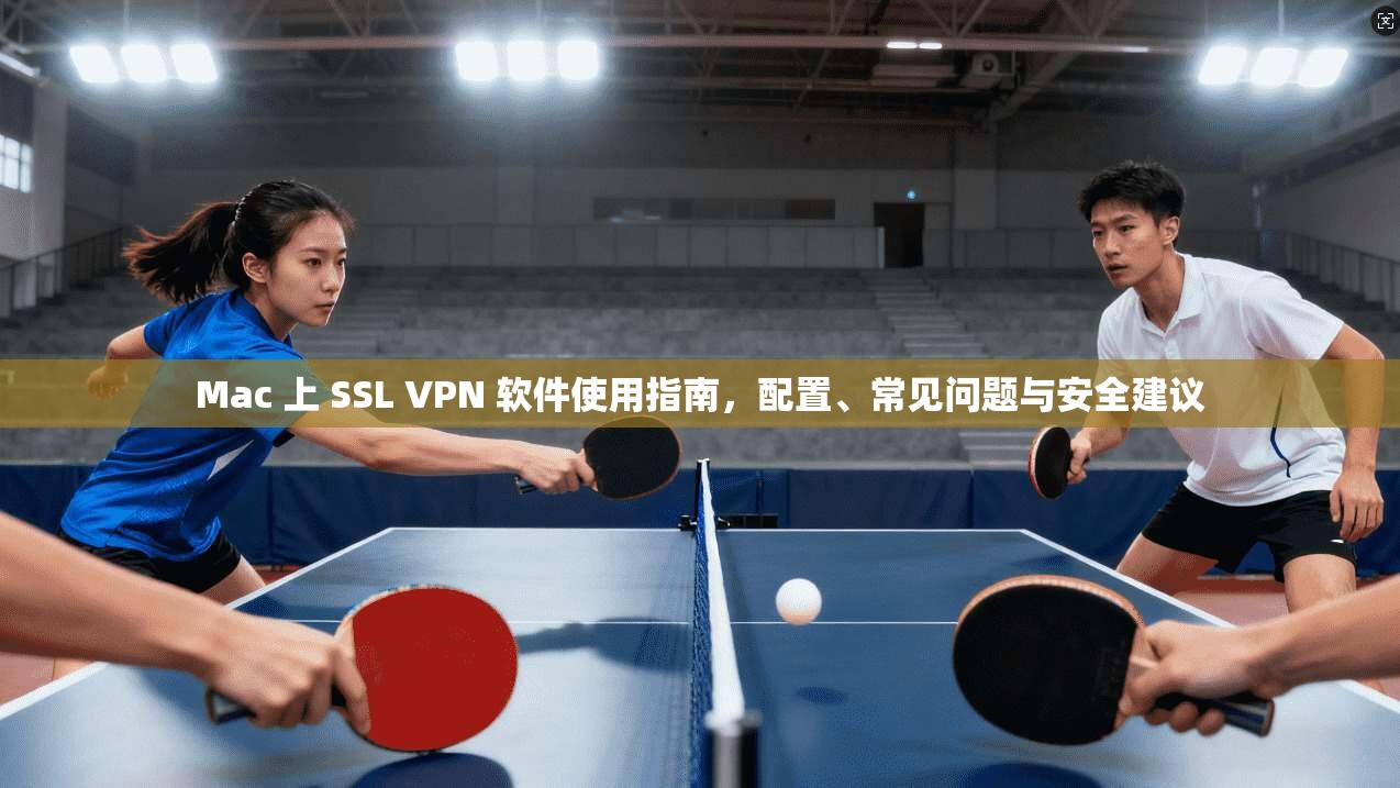 Mac 上 SSL VPN 软件使用指南，配置、常见问题与安全建议