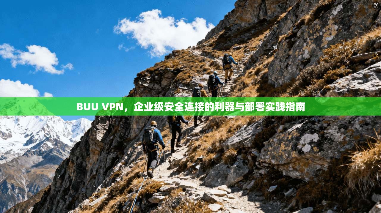 BUU VPN，企业级安全连接的利器与部署实践指南