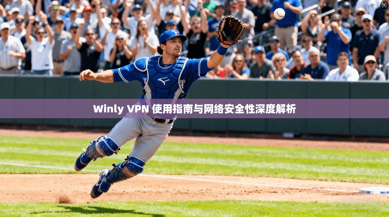 Winly VPN 使用指南与网络安全性深度解析 Winly VPN 使用指南与网络安全性深度解析
