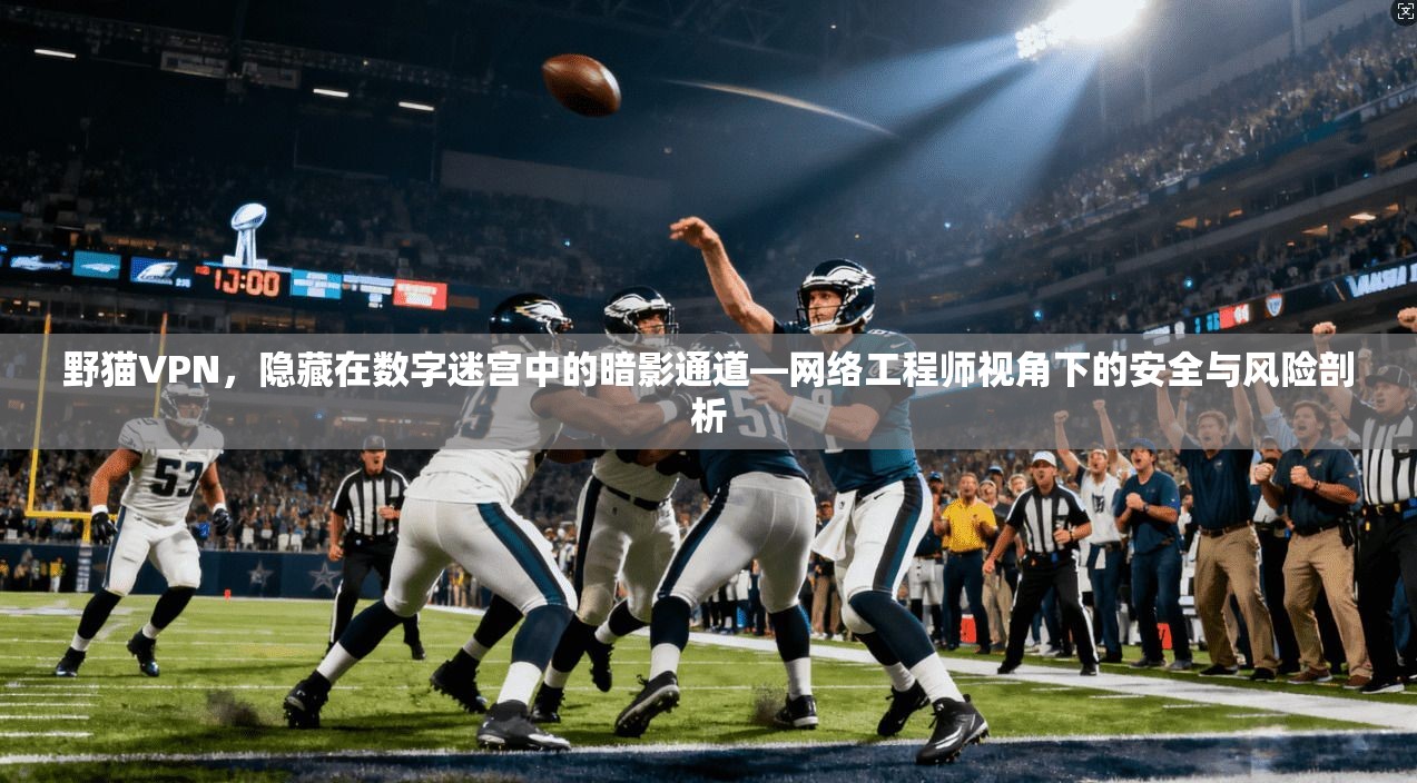 野猫VPN，隐藏在数字迷宫中的暗影通道—网络工程师视角下的安全与风险剖析