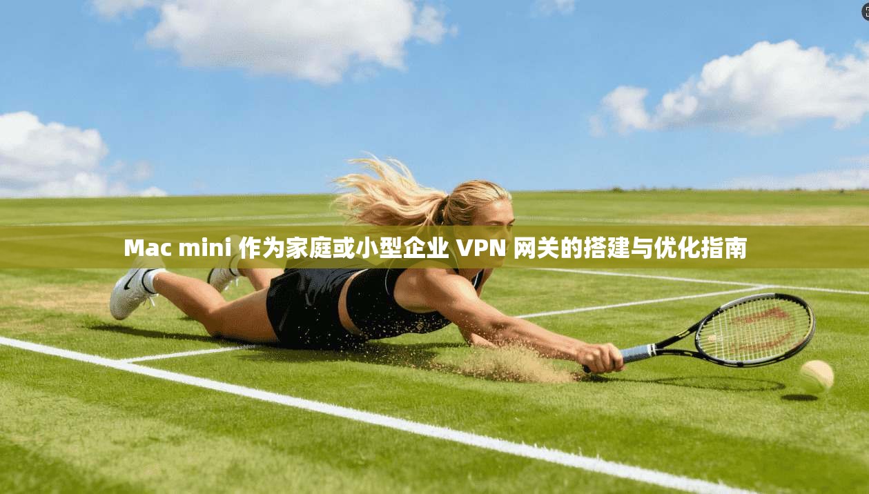Mac mini 作为家庭或小型企业 VPN 网关的搭建与优化指南