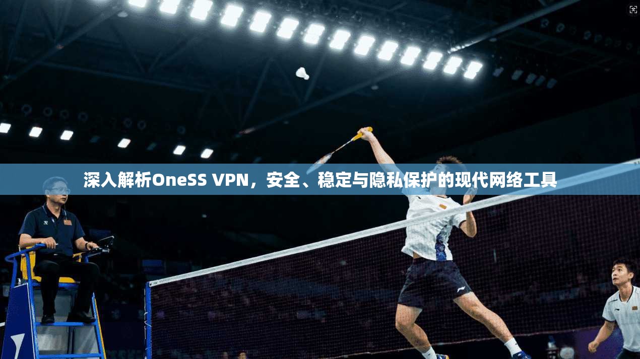深入解析OneSS VPN，安全、稳定与隐私保护的现代网络工具