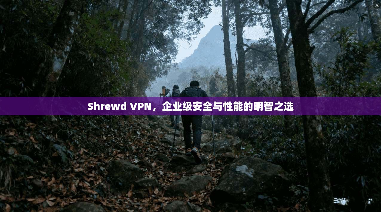 Shrewd VPN，企业级安全与性能的明智之选