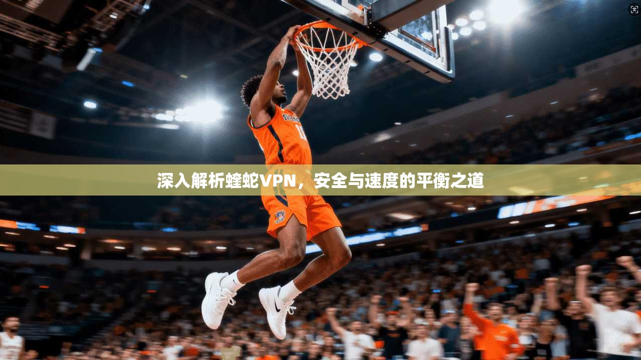 深入解析蝰蛇VPN,安全与速度的平衡之道 深入解析蝰蛇VPN,安全与速度的平衡之道