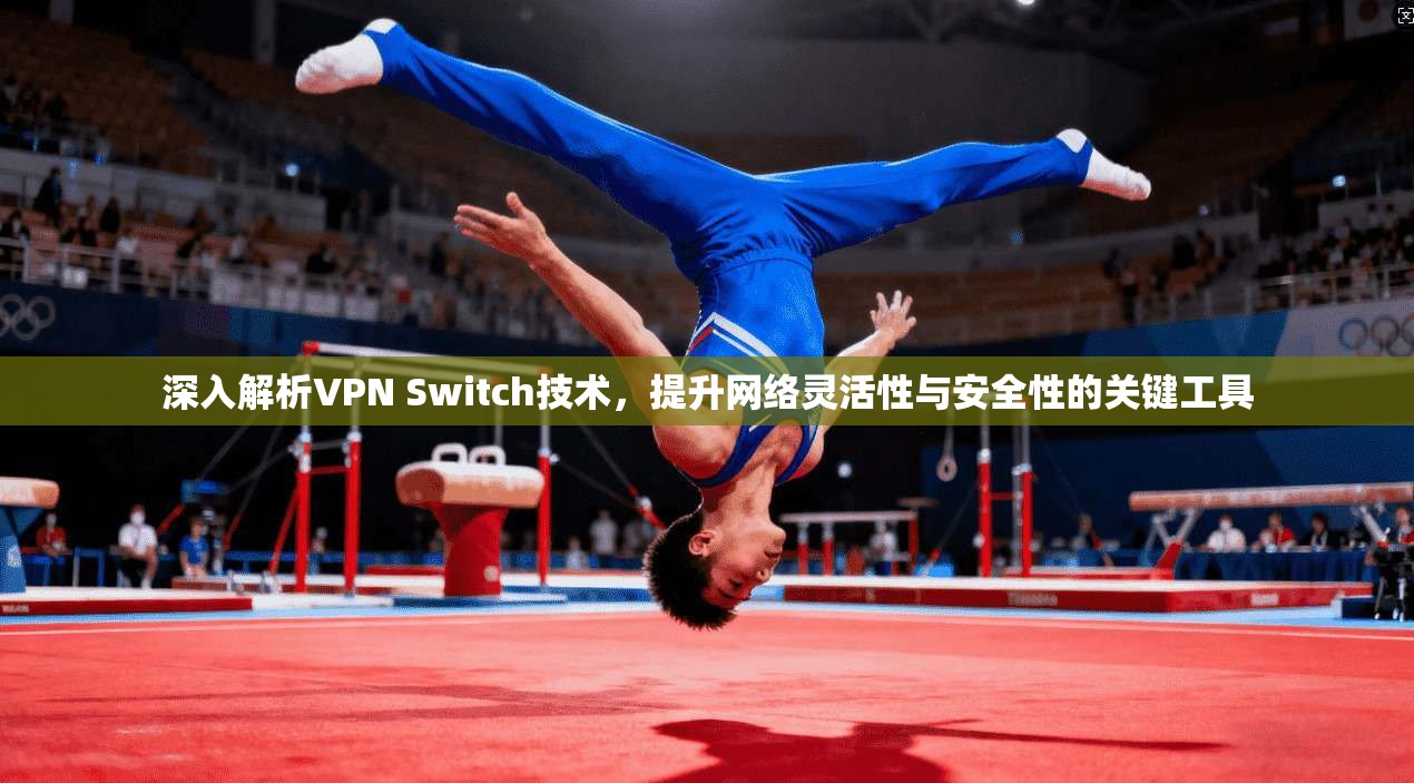 深入解析VPN Switch技术，提升网络灵活性与安全性的关键工具