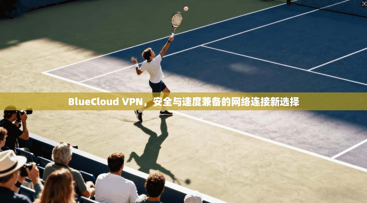 BlueCloud VPN，安全与速度兼备的网络连接新选择