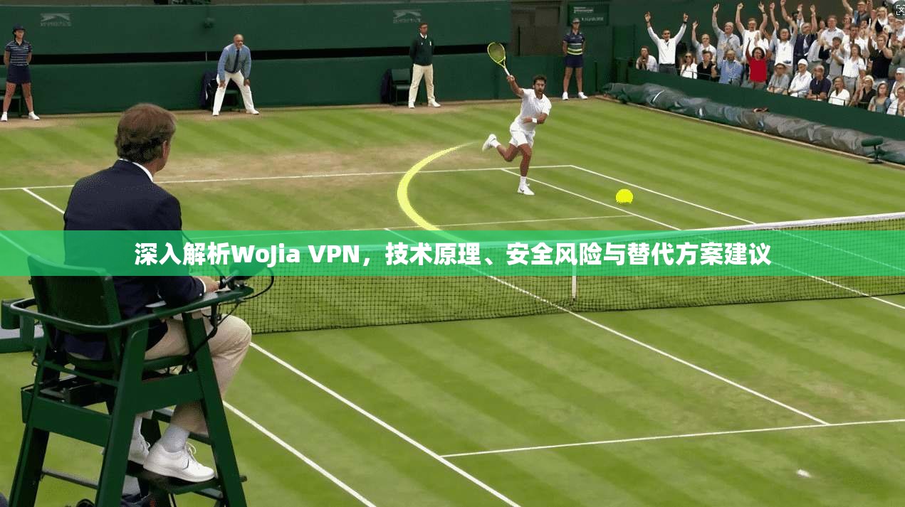 深入解析WoJia VPN，技术原理、安全风险与替代方案建议