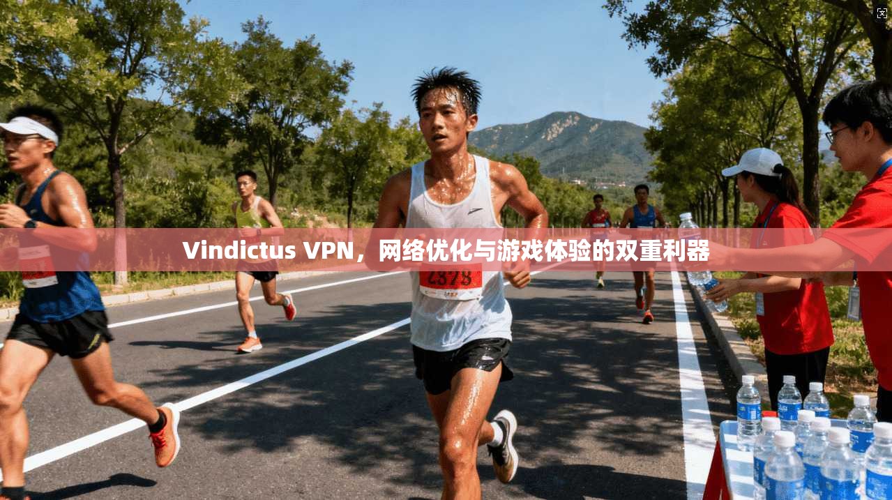 Vindictus VPN，网络优化与游戏体验的双重利器