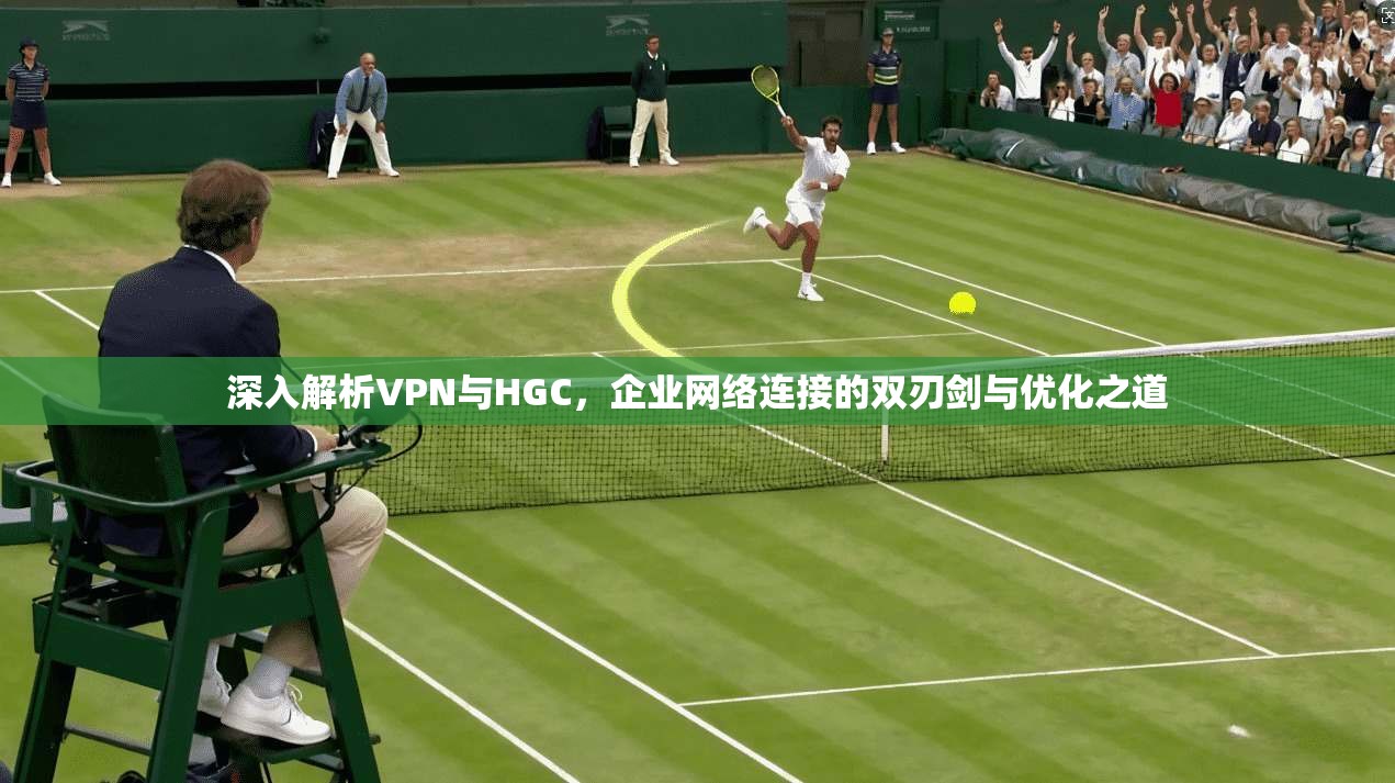 深入解析VPN与HGC，企业网络连接的双刃剑与优化之道