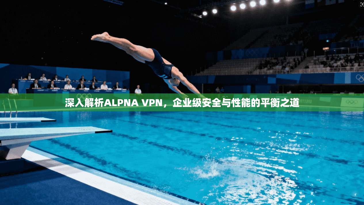 深入解析ALPNA VPN，企业级安全与性能的平衡之道