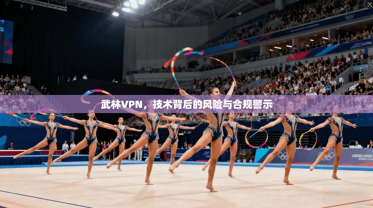 武林VPN，技术背后的风险与合规警示
