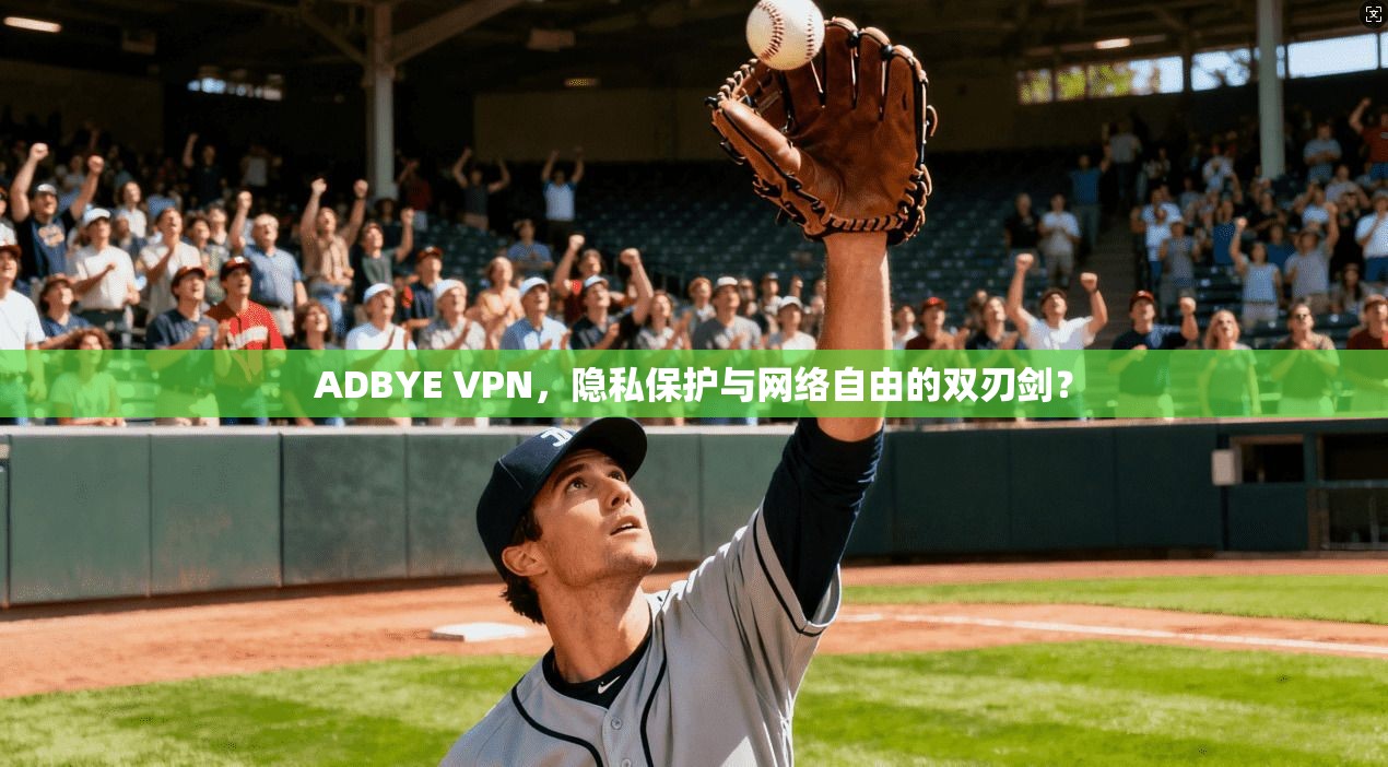 ADBYE VPN，隐私保护与网络自由的双刃剑？
