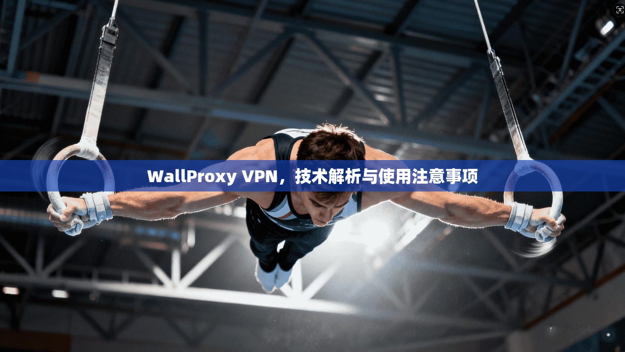 WallProxy VPN，技术解析与使用注意事项