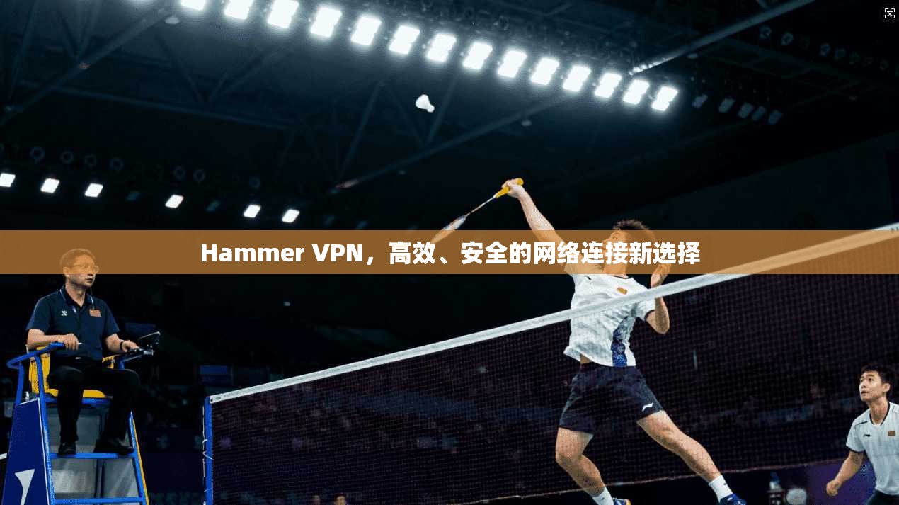 Hammer VPN,高效、安全的网络连接新选择 Hammer VPN,高效、安全的网络连接新选择
