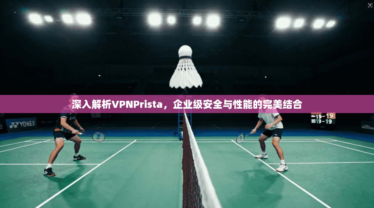 深入解析VPNPrista,企业级安全与性能的完美结合 深入解析VPNPrista,企业级安全与性能的完美结合