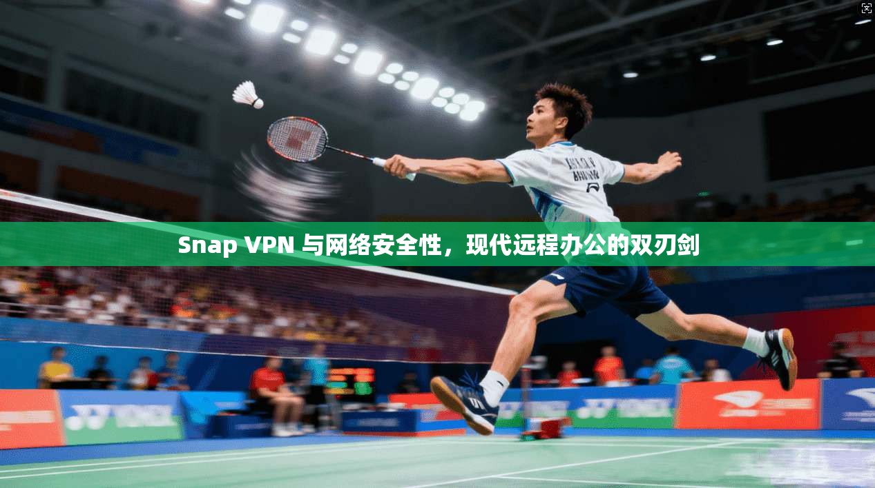 Snap VPN 与网络安全性，现代远程办公的双刃剑