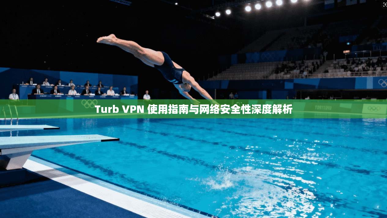 Turb VPN 使用指南与网络安全性深度解析
