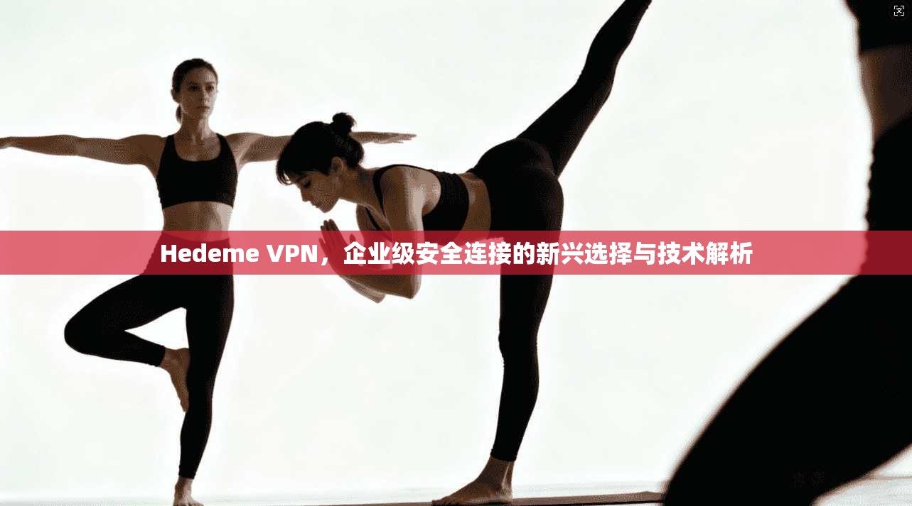 Hedeme VPN，企业级安全连接的新兴选择与技术解析