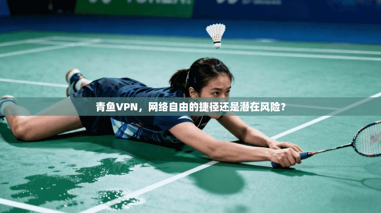 青鱼VPN,网络自由的捷径还是潜在风险? 青鱼VPN,网络自由的捷径还是潜在风险?