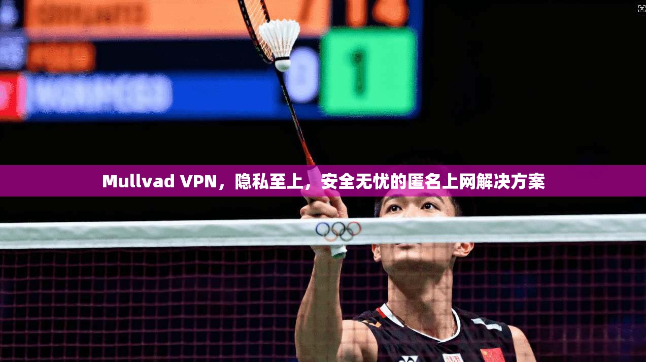 Mullvad VPN，隐私至上，安全无忧的匿名上网解决方案