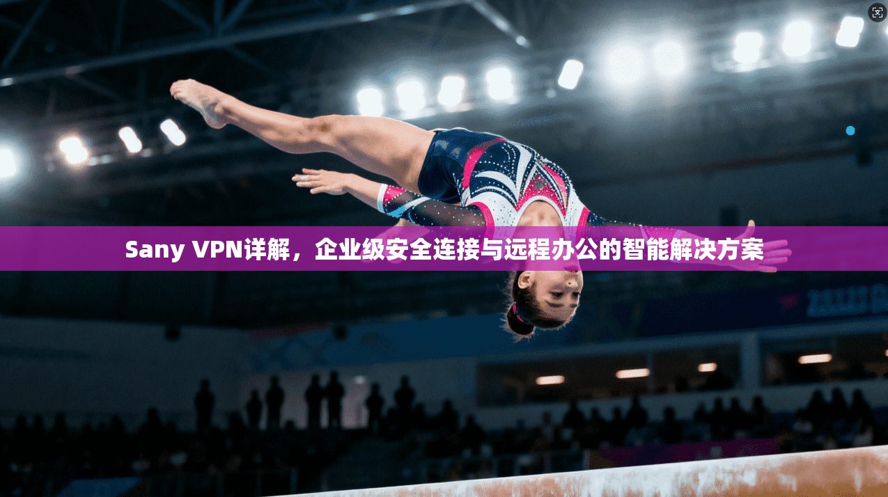 Sany VPN详解，企业级安全连接与远程办公的智能解决方案