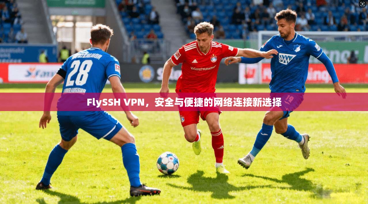 FlySSH VPN，安全与便捷的网络连接新选择