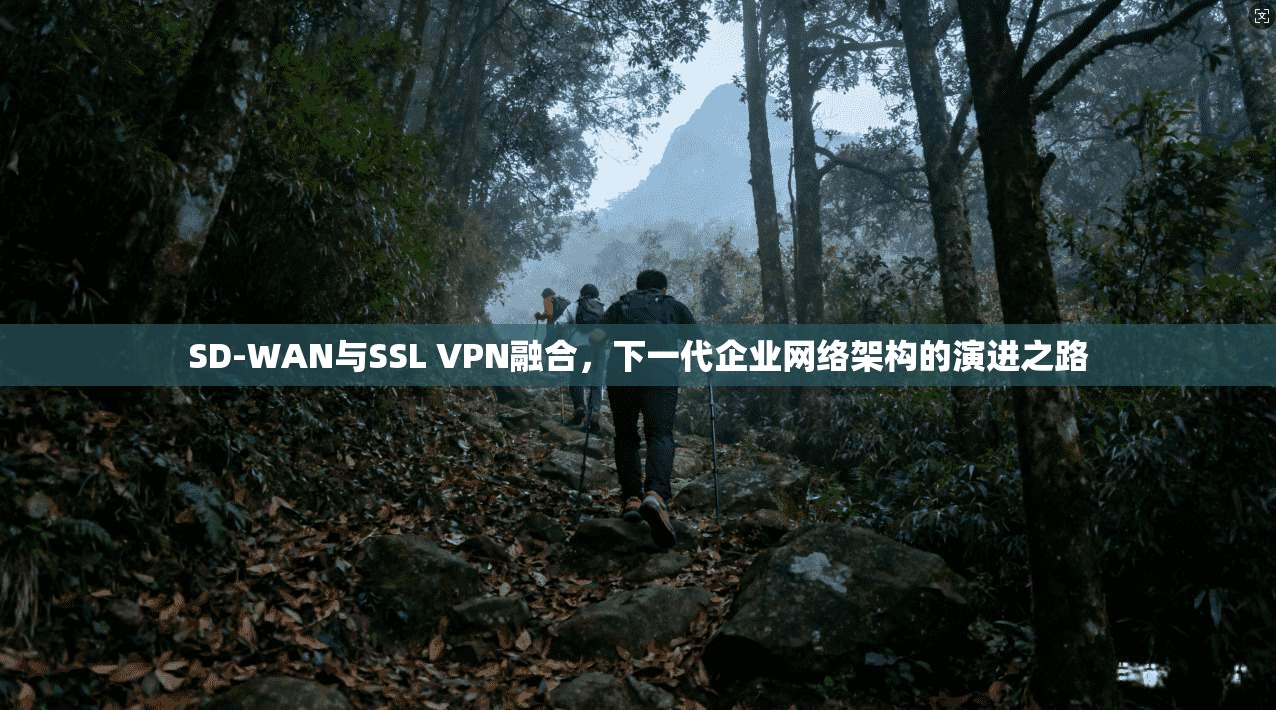 SD-WAN与SSL VPN融合，下一代企业网络架构的演进之路
